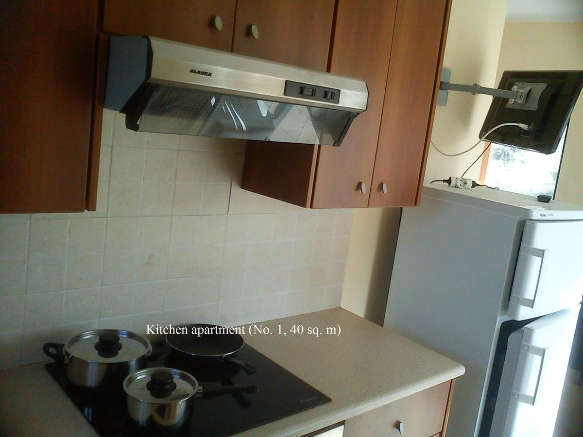 Panorama Hill Apartment Grammatiko ภายนอก รูปภาพ