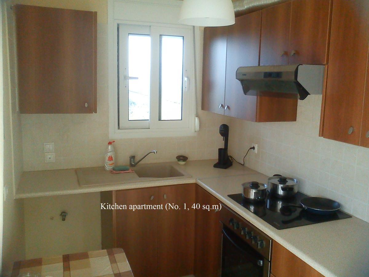 Panorama Hill Apartment Grammatiko ภายนอก รูปภาพ